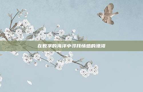 在数字的海洋中寻找情感的港湾