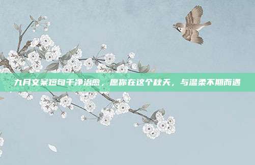 九月文案短句干净治愈，愿你在这个秋天，与温柔不期而遇