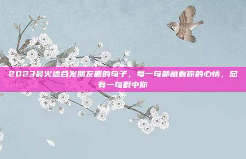 2023最火适合发朋友圈的句子，每一句都藏着你的心情，总有一句戳中你