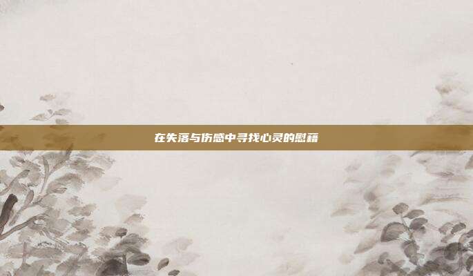 在失落与伤感中寻找心灵的慰藉