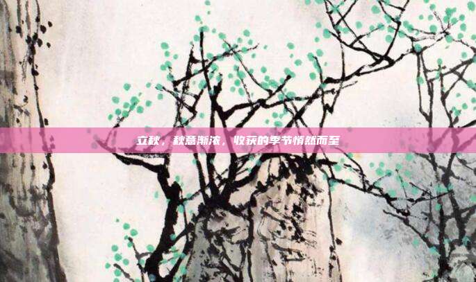 立秋，秋意渐浓，收获的季节悄然而至