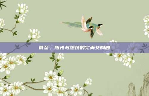 夏至，阳光与热情的完美交响曲