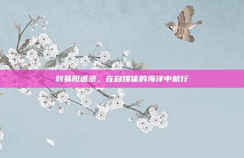 刘易阳语录，在自媒体的海洋中航行