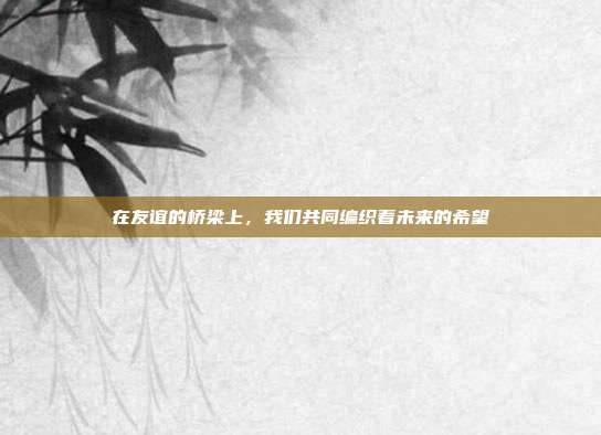 在友谊的桥梁上，我们共同编织着未来的希望