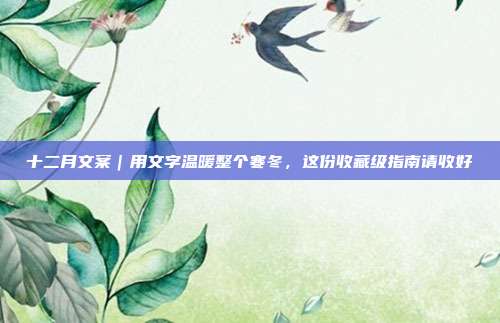 十二月文案｜用文字温暖整个寒冬，这份收藏级指南请收好