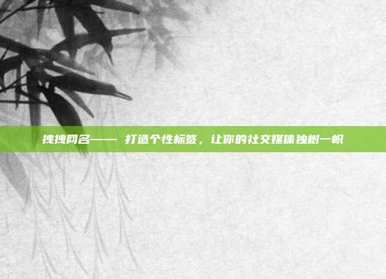 拽拽网名—— 打造个性标签，让你的社交媒体独树一帜