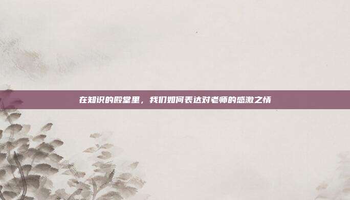 在知识的殿堂里,我们如何表达对老师的感激之情