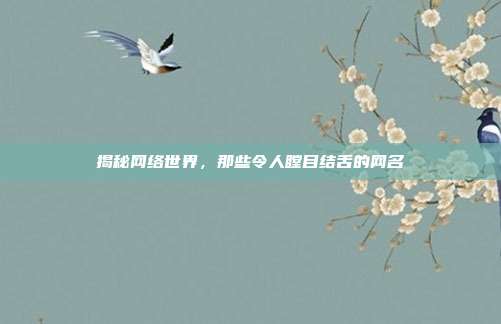 揭秘网络世界,那些令人瞠目结舌的网名