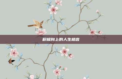 积极向上的人生格言