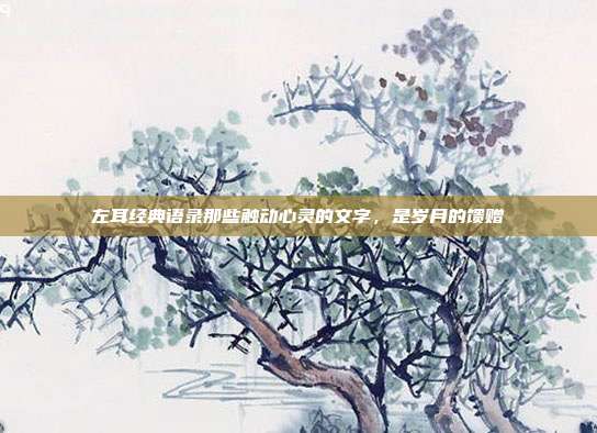左耳经典语录那些触动心灵的文字,是岁月的馈赠