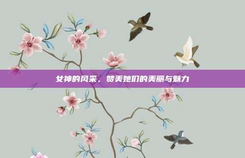 女神的风采,赞美她们的美丽与魅力