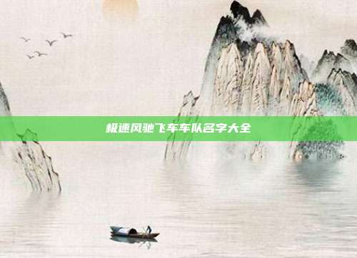 极速风驰飞车车队名字大全
