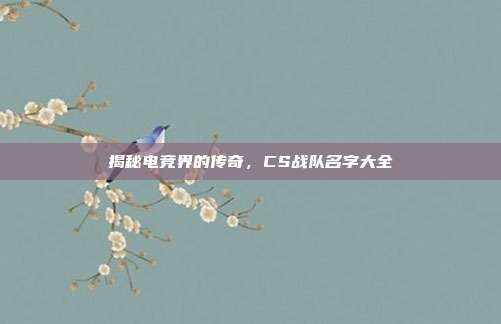 揭秘电竞界的传奇,CS战队名字大全