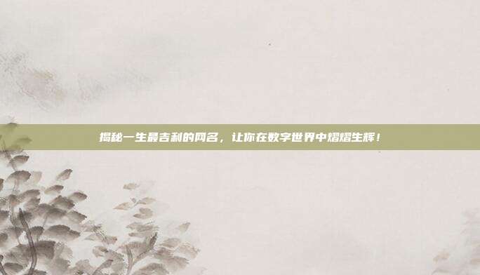 揭秘一生最吉利的网名,让你在数字世界中熠熠生辉!
