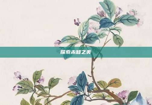 探索未知之美