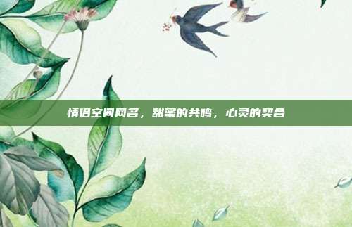 情侣空间网名,甜蜜的共鸣,心灵的契合