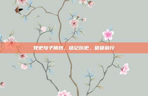 党史句子摘抄,铭记历史,砥砺前行
