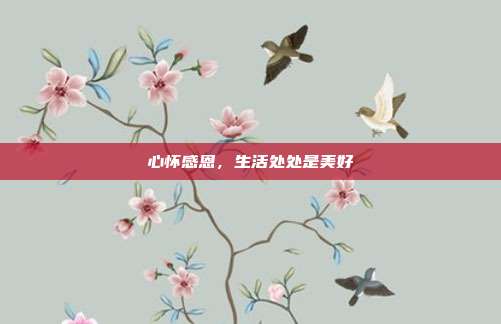 心怀感恩,生活处处是美好