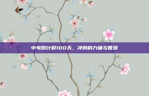 中考倒计时100天,冲刺的力量与智慧