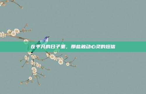 在平凡的日子里,那些触动心灵的短信