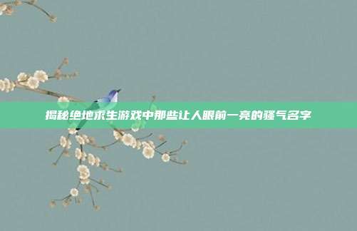 揭秘绝地求生游戏中那些让人眼前一亮的骚气名字