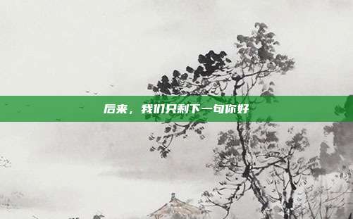 后来，我们只剩下一句你好