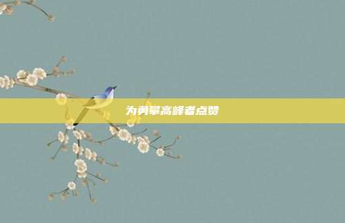 为勇攀高峰者点赞