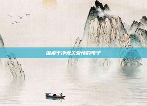 温柔干净无关爱情的句子