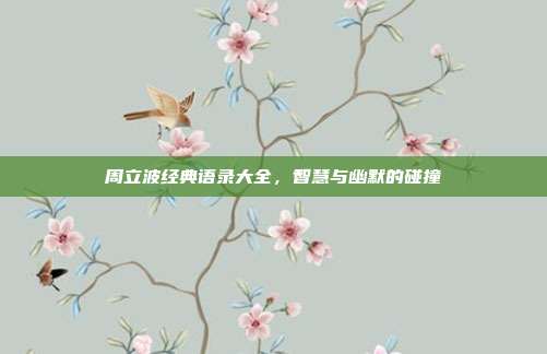 周立波经典语录大全，智慧与幽默的碰撞