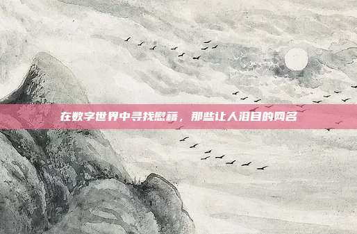 在数字世界中寻找慰藉,那些让人泪目的网名