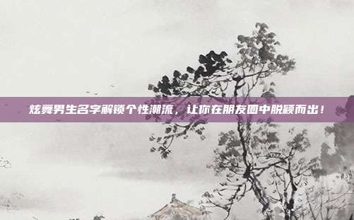 炫舞男生名字解锁个性潮流，让你在朋友圈中脱颖而出！