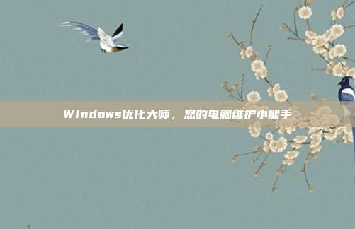 Windows优化大师,您的电脑维护小能手