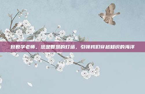 致数学老师,您是智慧的灯塔,引领我们穿越知识的海洋