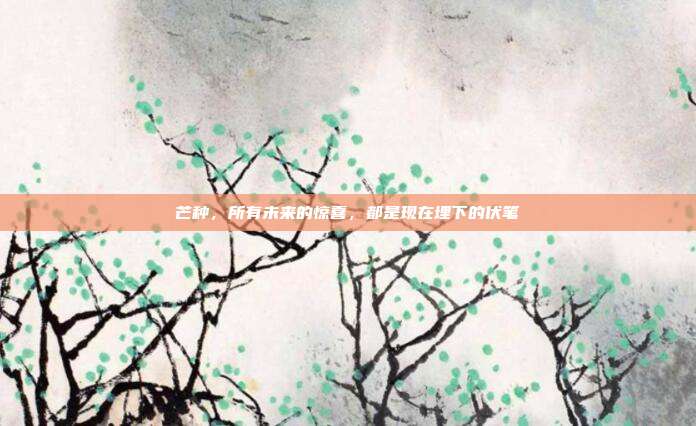 芒种，所有未来的惊喜，都是现在埋下的伏笔