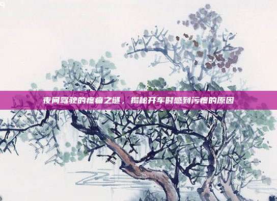 夜间驾驶的疼痛之谜,揭秘开车时感到污疼的原因