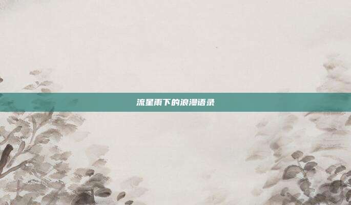 流星雨下的浪漫语录