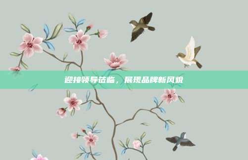 迎接领导莅临,展现品牌新风貌