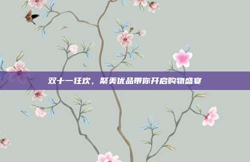 双十一狂欢,聚美优品带你开启购物盛宴
