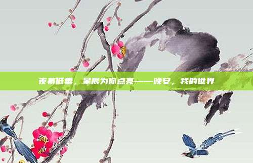 夜幕低垂,星辰为你点亮——晚安,我的世界