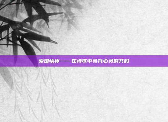 爱国情怀——在诗歌中寻找心灵的共鸣