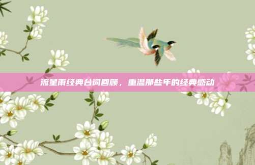 流星雨经典台词回顾,重温那些年的经典感动