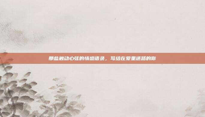 那些触动心弦的情感语录，写给在爱里迷路的你