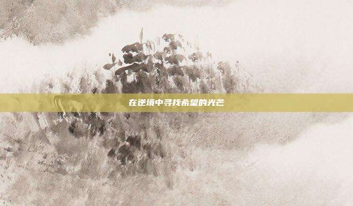 在逆境中寻找希望的光芒