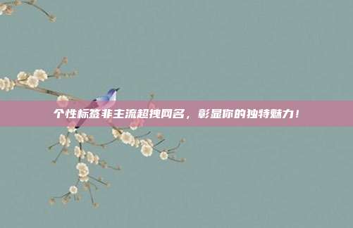 个性标签非主流超拽网名,彰显你的独特魅力!