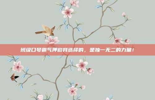 班级口号霸气押韵我选择的,是独一无二的力量!