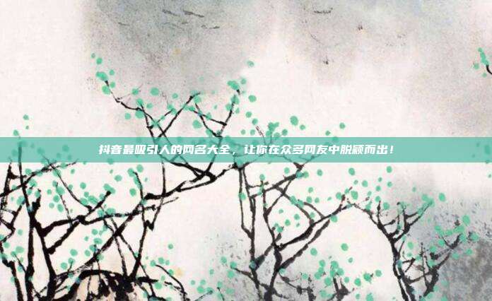 抖音最吸引人的网名大全,让你在众多网友中脱颖而出!