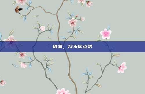 祖国,我为您点赞