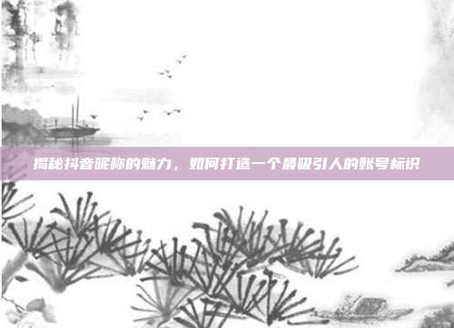揭秘抖音昵称的魅力,如何打造一个最吸引人的账号标识