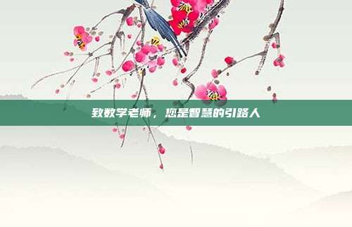 致数学老师,您是智慧的引路人