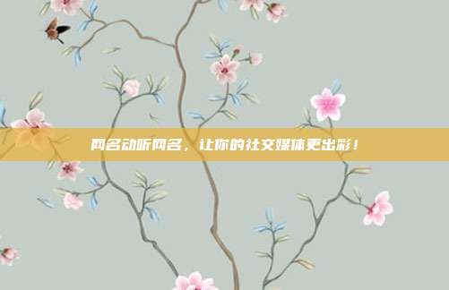 网名动听网名,让你的社交媒体更出彩!